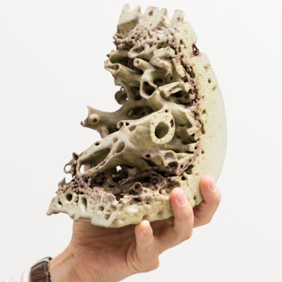 A biological sample imaged with micro-CT and reproduced in larger size on the Z Printer 650